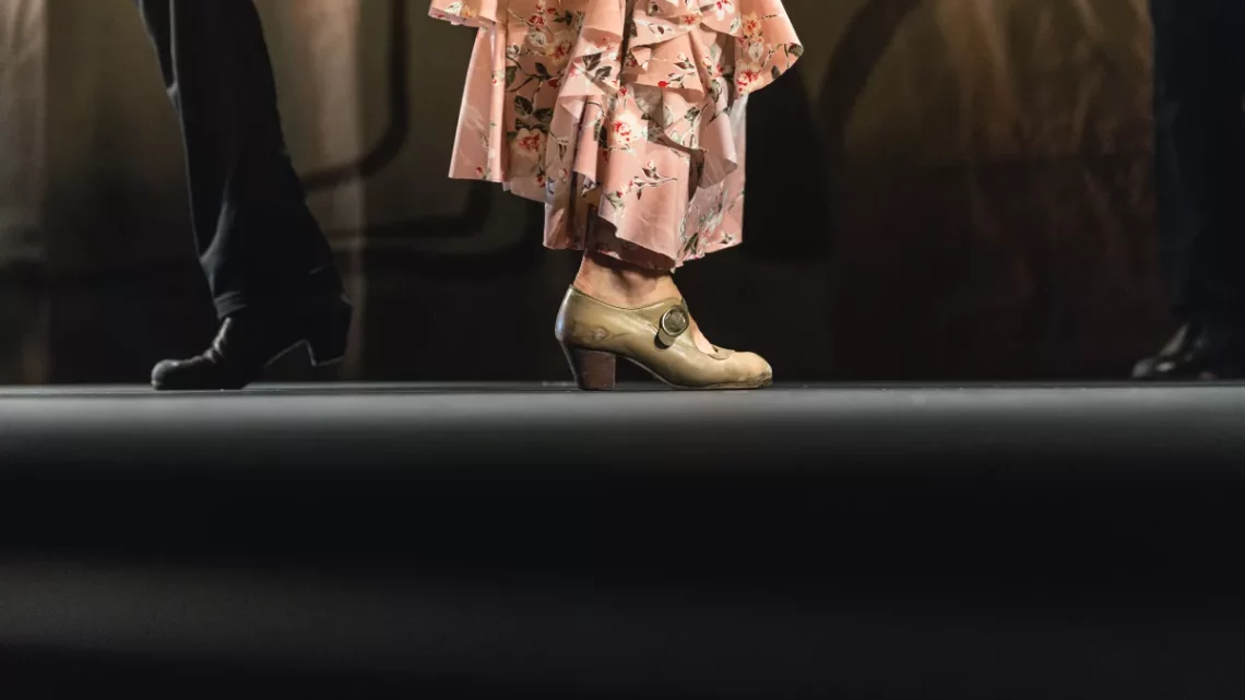 Un espectáculo flamenco en Sevilla para conocer el género